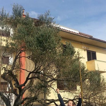 Begovi Dvori Apartamento Rab Town Exterior foto